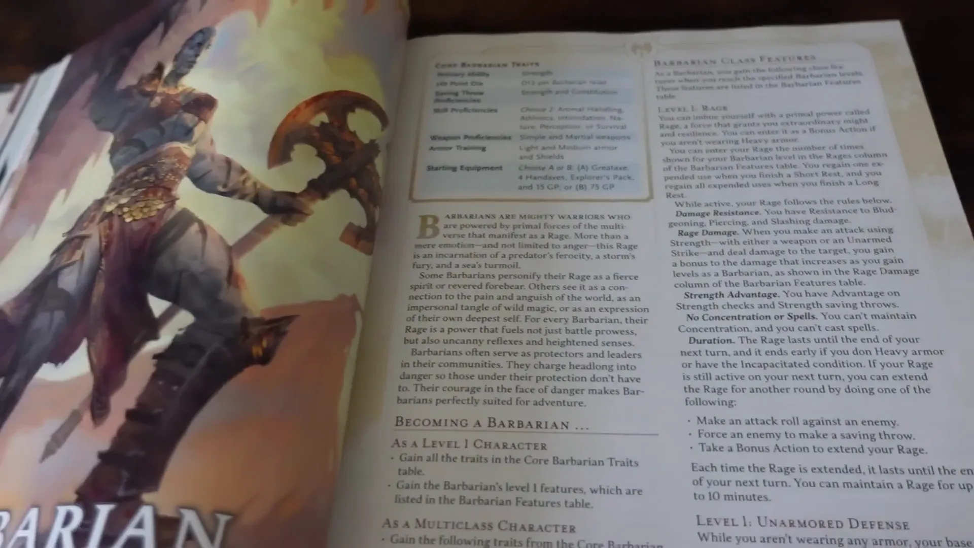 Character creation options in the handbook